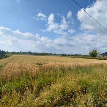 Піддубці, Луцький, Волинська область 14000.0 USD