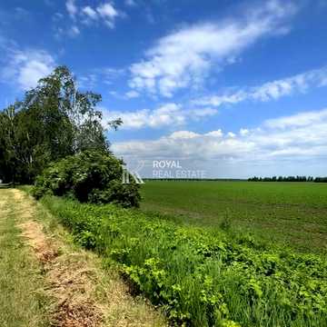Кавказька вул.