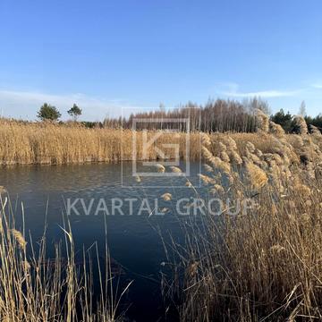 Дружня, Бучанський, Київська область 45000.0 USD