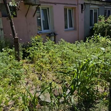 Дмитра Вишневецького вул. (Ворошилова), 59