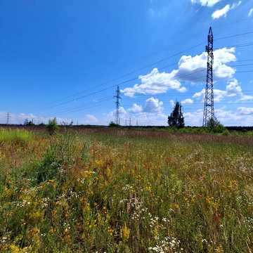 Нові Петрівці, Вишгородський, Київська область 65000.0 USD