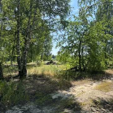 Дмитрівка, Бучанський, Київська область 43500.0 USD