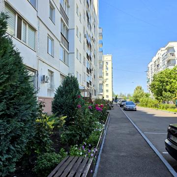 Архітектора Старова вул., 2/6 к.3