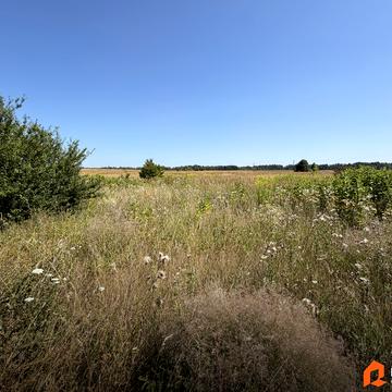 Музичі, Бучанський, Київська область 20400.0 USD