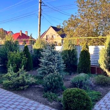 Виноградная