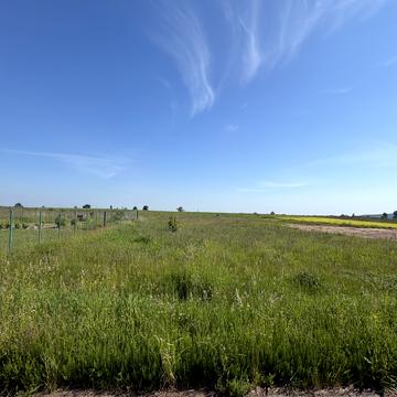 Синяк, Бучанський, Київська область 15000.0 USD