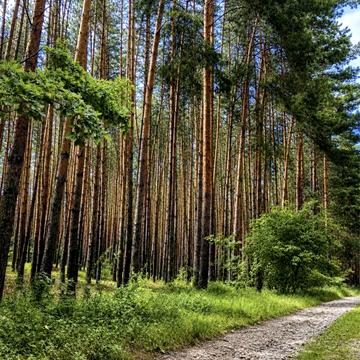 Мала Солтанівка, Фастівський, Київська область 28600.0 USD