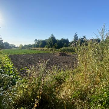 Пирогова, 9-Д