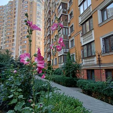 Добровольців вул. (Маршала Говорова), 10в