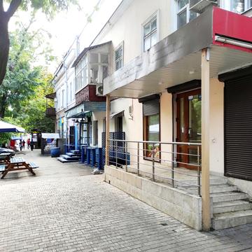 Павла Зеленого вул. (Коблевська), 46