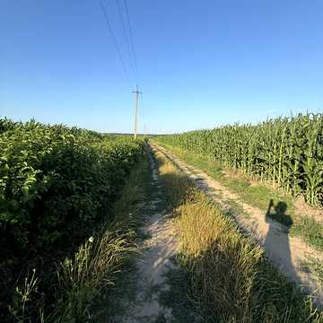 Якушинці, Вінницький, Вінницька область 58000.0 USD