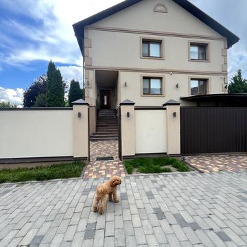 Абрикосова