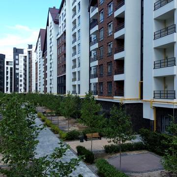 Ольги Кобилянської вул. (Достоєвського), (Будинок 42)