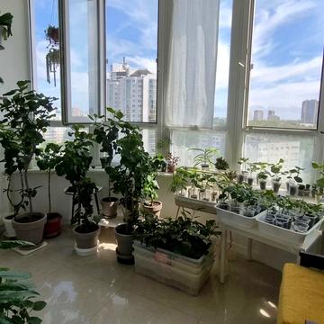 Кленова вул., 2а