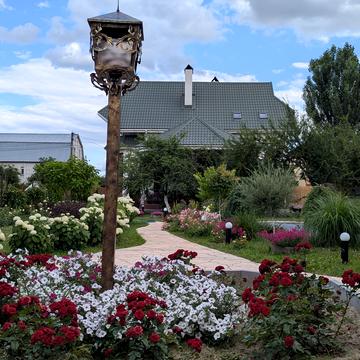 Лісова