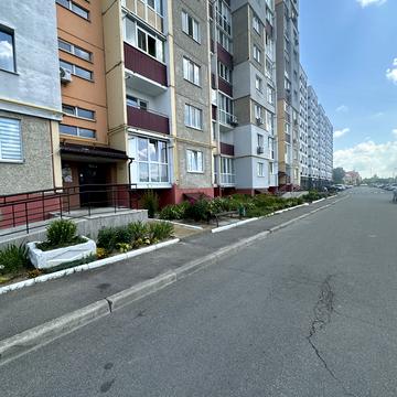 Симона Петлюри вул., 45