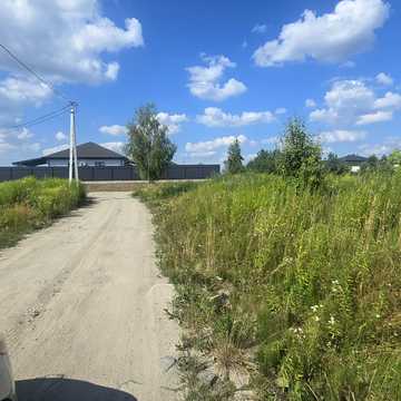 Виноградна