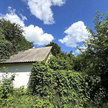 Зелена, 12