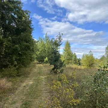 Горбовичі, Бучанський, Київська область 280000.0 USD