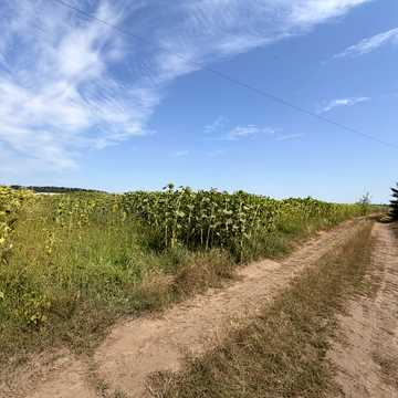 Немирівське шосе