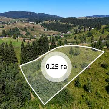 Яблуниця, Надвірнянський, Івано-Франківська область 75000.0 USD
