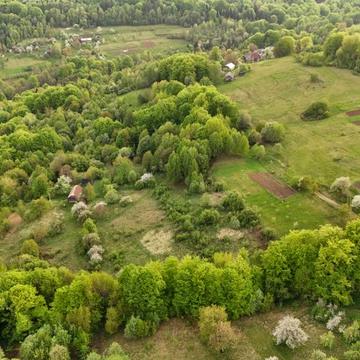 Орів, Дрогобицький, Львівська область 15000.0 UAH