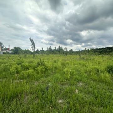 ДНЗ Барвінок, Крюківщина, Бучанський, Київська область 350000.0 USD