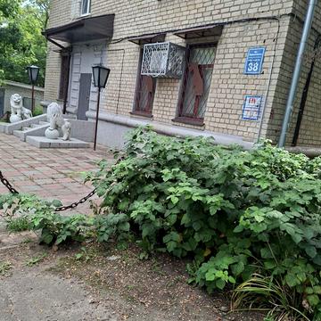 Майка Йогансена вул. (Лермонтовська), 38