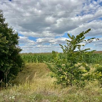 Вороньків, Бориспільський, Київська область 110000.0 USD