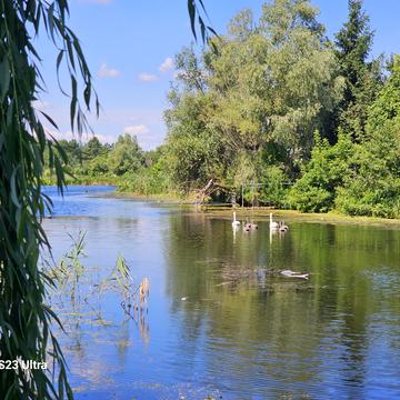 Травнева вул., 6