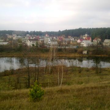 Лісова