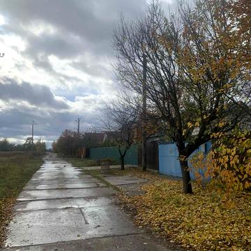 Лісова