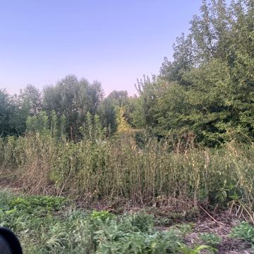 Островського, 6
