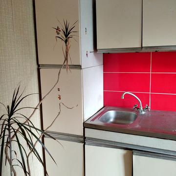 Юрія Литвинського вул. (Російська), 84