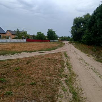 Центральна