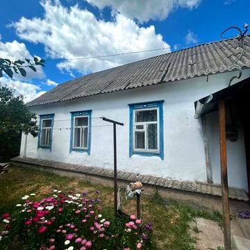 кралі