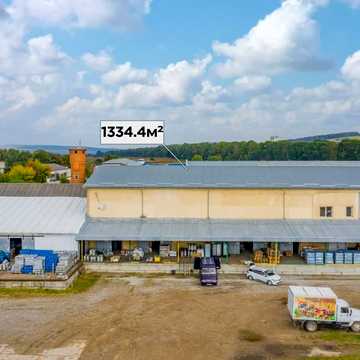 Мухи, 1