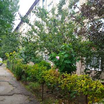 Явірний пров., 6