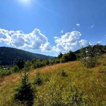 Олекси Довбуша вул. (Незалежності)