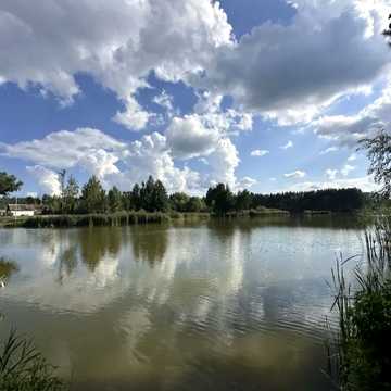 Плесецьке, Фастівський, Київська область 8000.0 USD