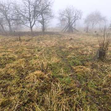 Скнилів, Золочівський, Львівська область 6000.0 USD
