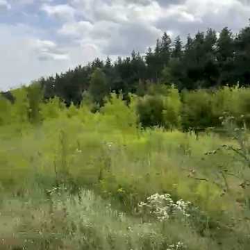 Васильків, Обухівський, Київська область 300000.0 USD