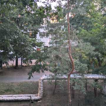 Галини Мазепи вул. (Софії Ковалевської), 77