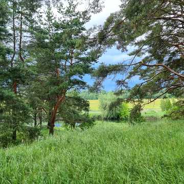 Лесі Українки