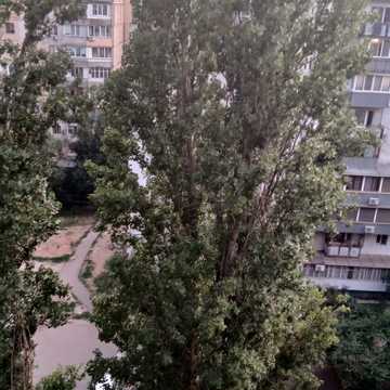 Академіка Заболотного вул., 38