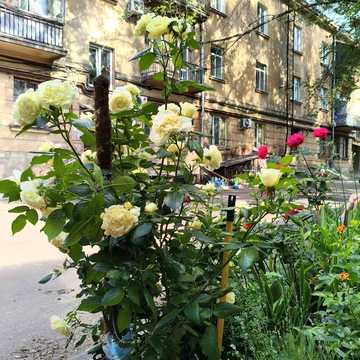 Балківська вул., 126