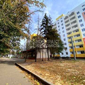 Миру вул., 21