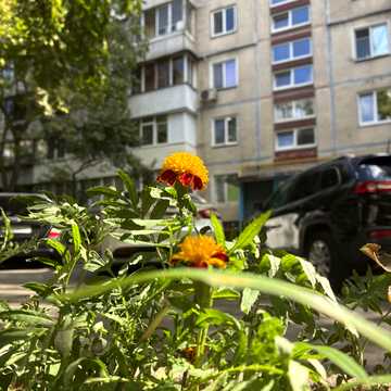 Академіка Булаховського вул., 28-Б