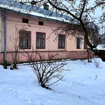 Орельська вул.
