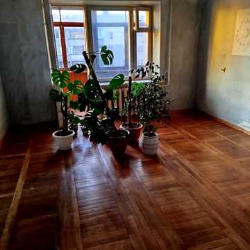 Болгарська вул., 37